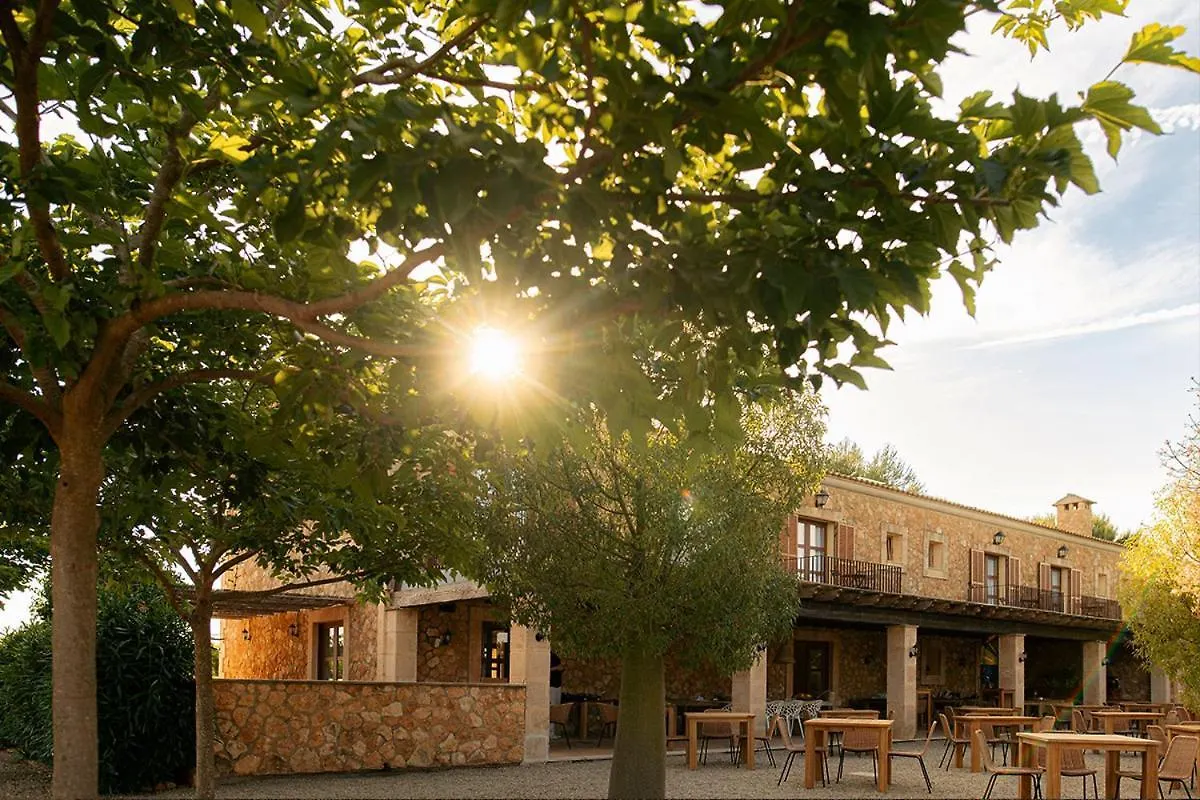 サンタ・マリア・デル・カミ La Farm Baleares (Adults Only) Bed & Breakfast