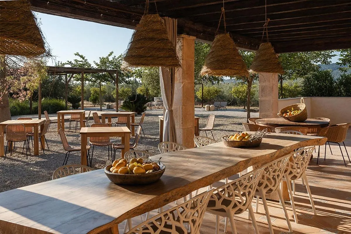 サンタ・マリア・デル・カミ La Farm Baleares (Adults Only) Bed & Breakfast スペイン